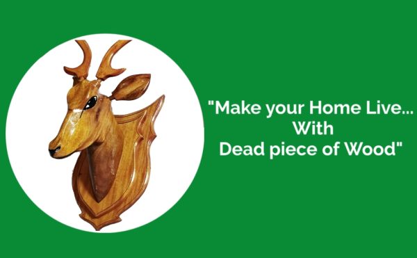 Wall hanging Deer head